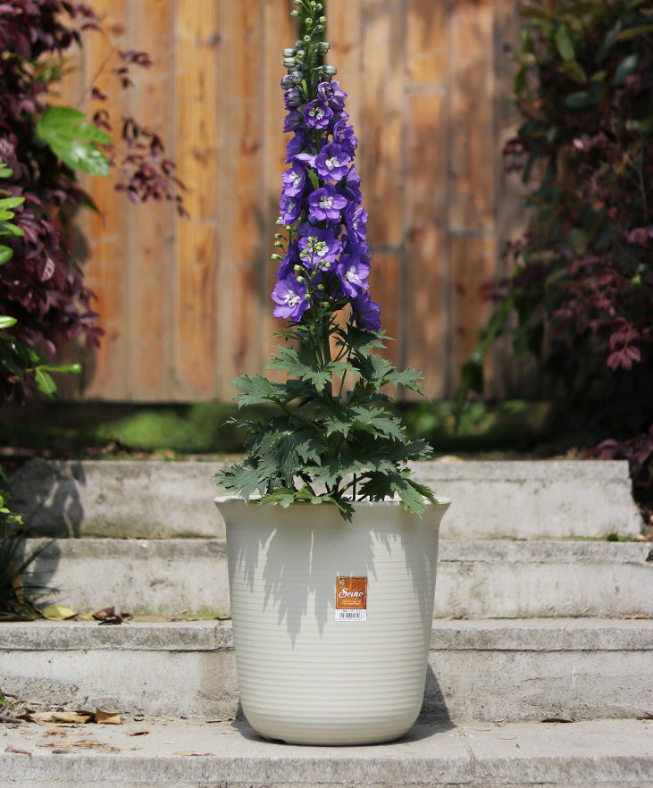 S size | Tall style | Resin pot | High-quality pot | For both indoor and outdoor plants