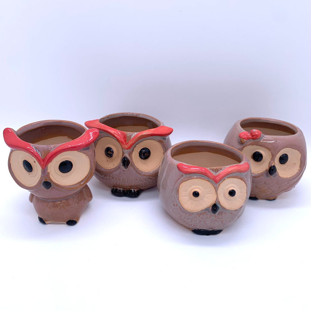 Succulent pot | Plant pot | Ceramic flower pot | Owl pot | 4 styles