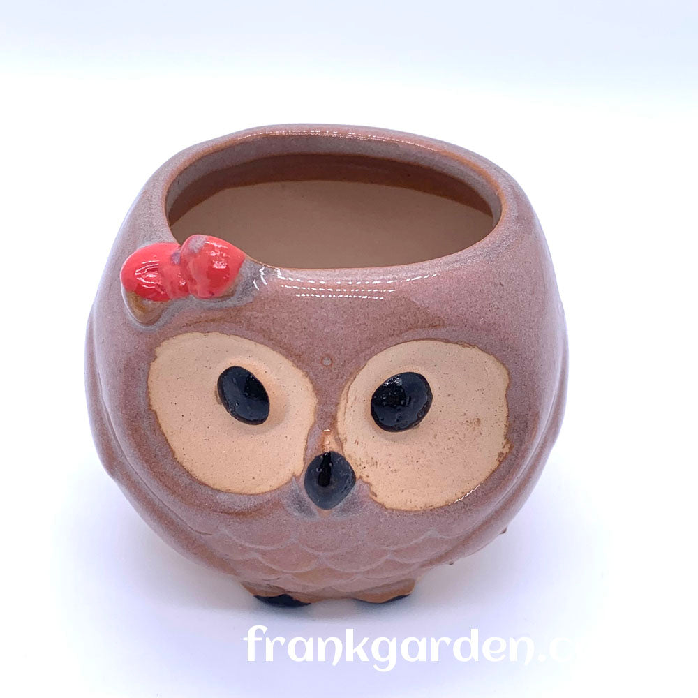 Succulent pot | Plant pot | Ceramic flower pot | Owl pot | 4 styles