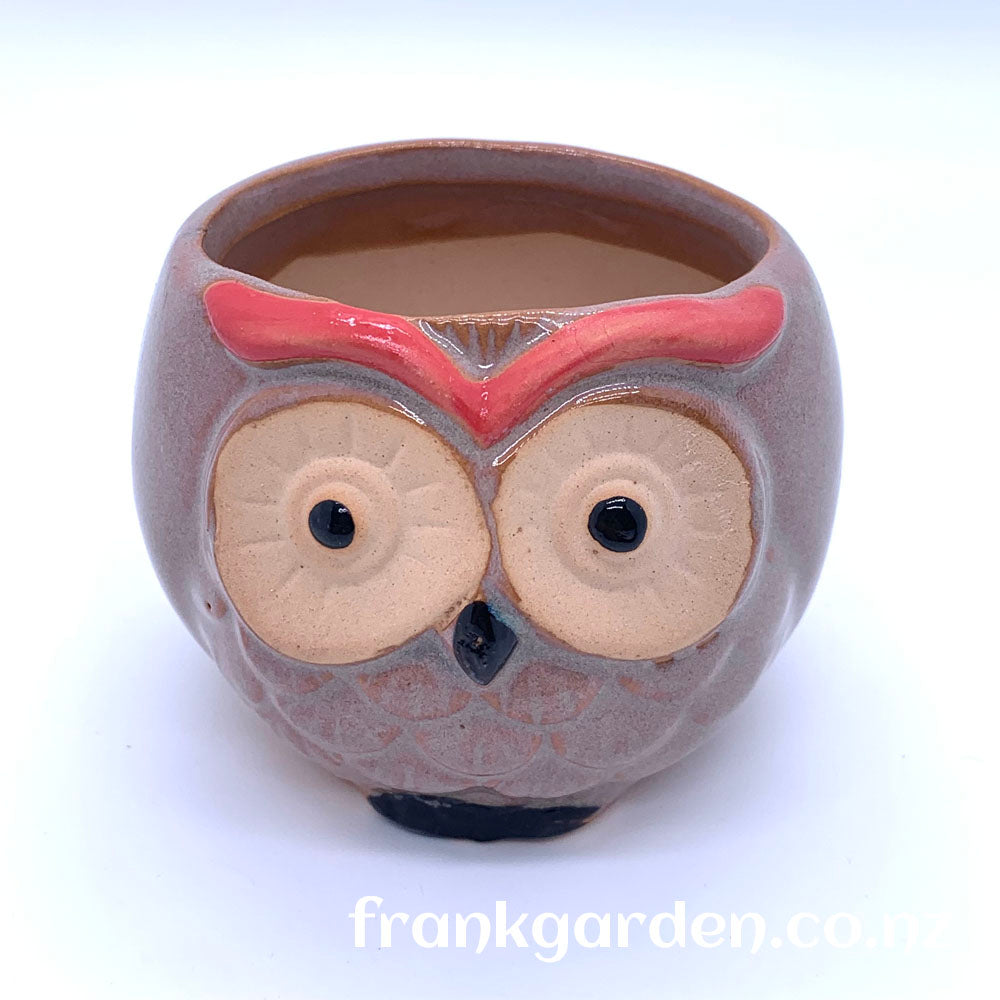 Succulent pot | Plant pot | Ceramic flower pot | Owl pot | 4 styles