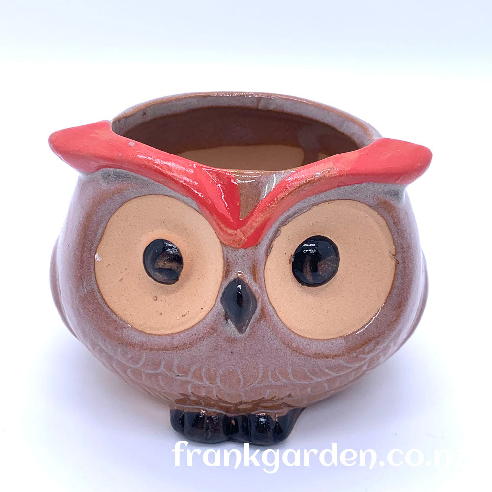 Succulent pot | Plant pot | Ceramic flower pot | Owl pot | 4 styles