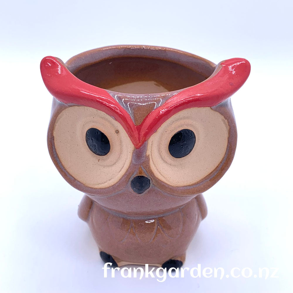 Succulent pot | Plant pot | Ceramic flower pot | Owl pot | 4 styles