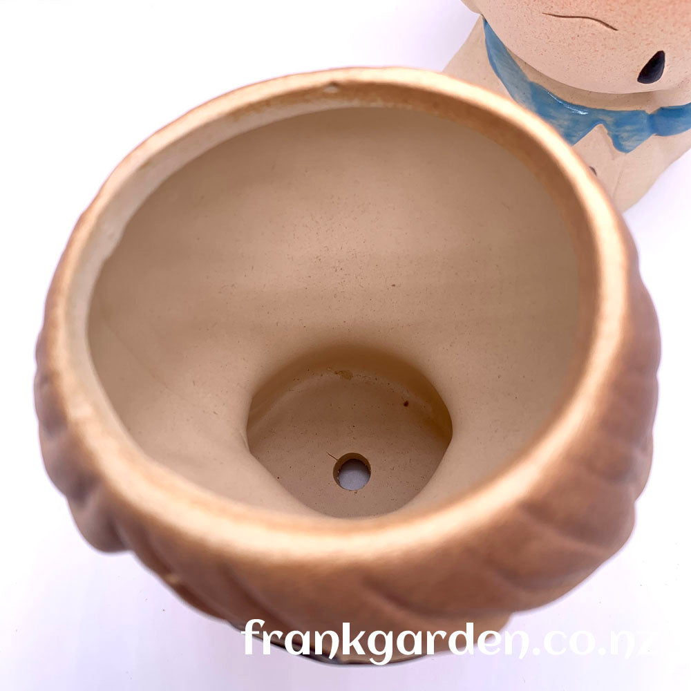 Succulent pot | Plant pot | Ceramic flower pot | 2 styles