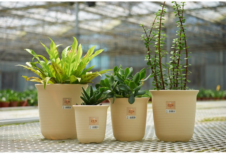 M size | Tall style | Resin pot | High-quality pot | For both indoor and outdoor plants